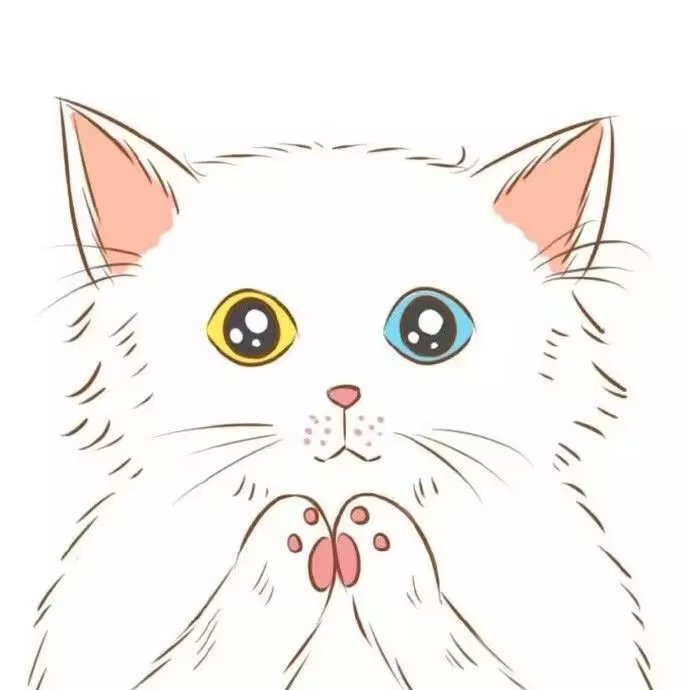 可爱动物小猫咪风格一对的动漫头像篇  记得收藏插图1